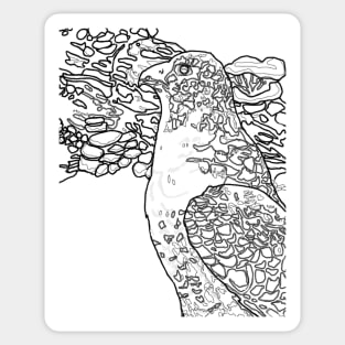 Coloring book Style Peregrine Falcon Sticker